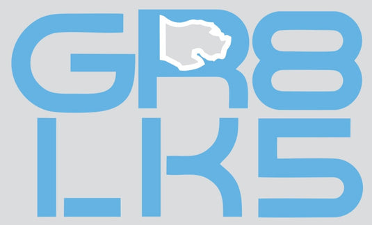 mi State of Mind Vehicle Decals Light Blue with White state outline GR8 LK5 Vinyl Sticker