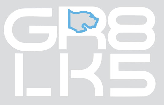 mi State of Mind Vehicle Decals White with Light Blue state outline GR8 LK5 Vinyl Sticker