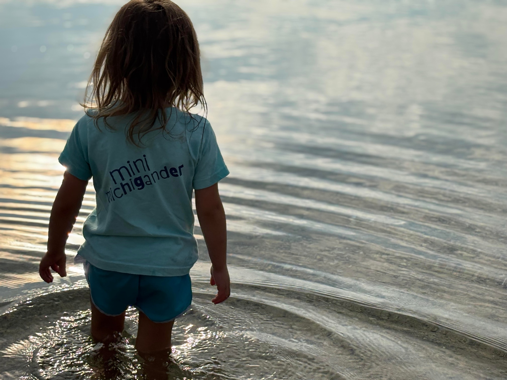 mini michigander